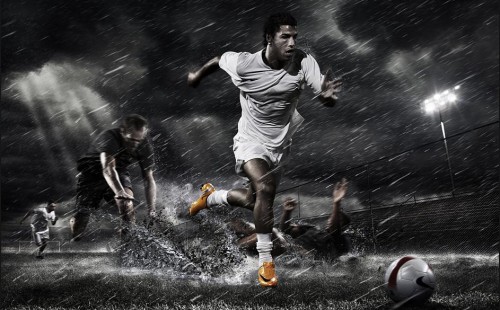 种数据上的 种数据上的